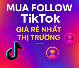 Mua follow Tik tok giá rẻ nhất thị trường, tăng theo dõi tiktok, tăng follow TikTok