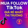 FOLLOW TIKTOK -Mua follow Tik tok giá rẻ nhất thị trường, tăng theo dõi tiktok, tăng follow TikTok