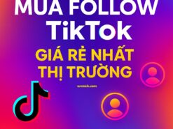 FOLLOW TIKTOK -Mua follow Tik tok giá rẻ nhất thị trường, tăng theo dõi tiktok, tăng follow TikTok