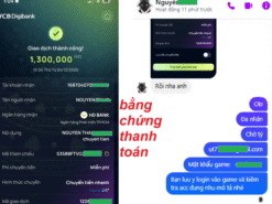 Shop bán acc wot blitz khủng với 58 tank có sẵn, 12 tank cấp 10 và 19 tank pre xanh