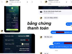 Shop acc wot blitz siêu VIP với 208 tank, 49 tank cấp 10, 64 xe Xanh + Vàng