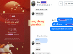 Acc World of Tanks Blitz VIP 176 tank, 48 tank cấp 10, 57 tank vàng + xanh